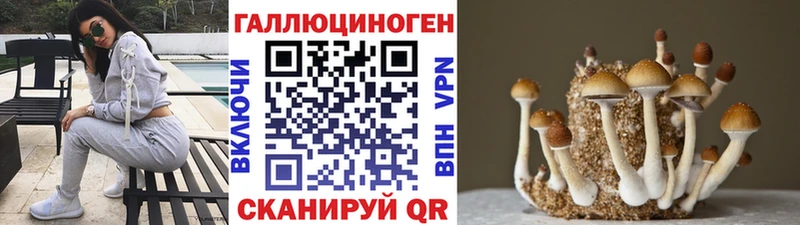 shop какой сайт  Монино  Псилоцибиновые грибы мицелий  наркотики 